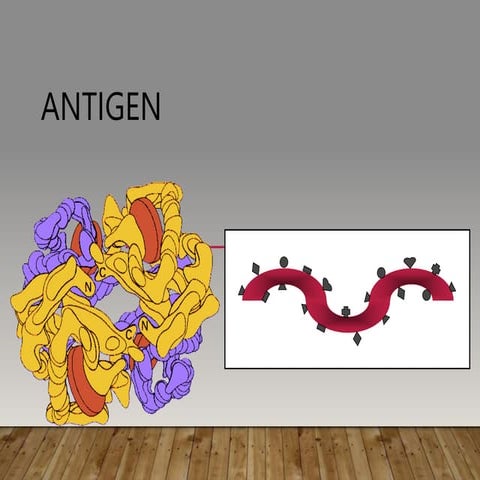 Antigen-Lecture-51 (1).ppt