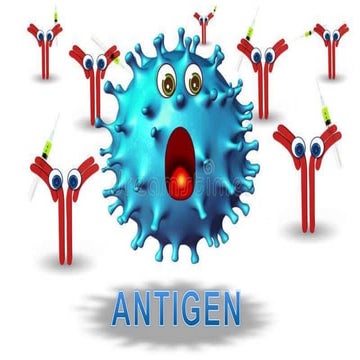 Antigen 