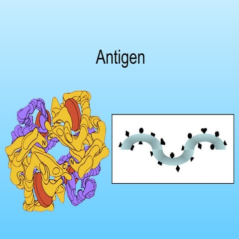 Antigen and antibody