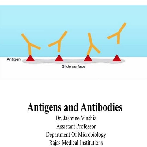 Antigens & Antibodies- All you have to know | PPTX