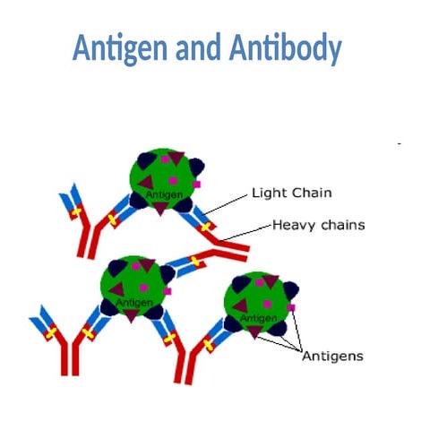 Antigen & Antibody.pptx role in immune systems | PPTX