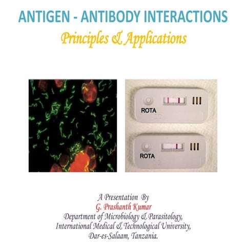 Antigen & Antibody Interactions