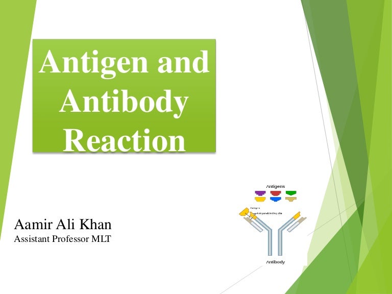 Antigen antibody reactions
