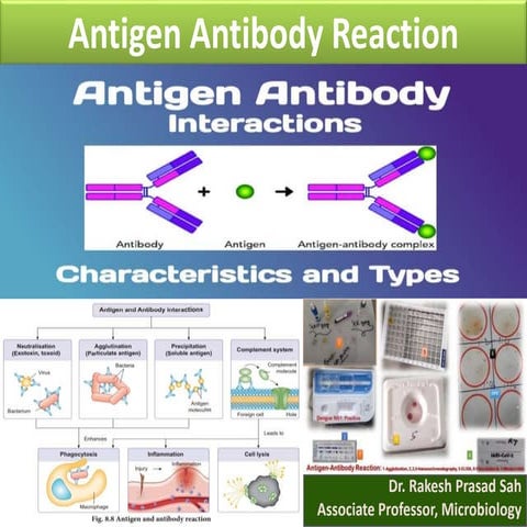 Antigen Antibody Reactions.pptx