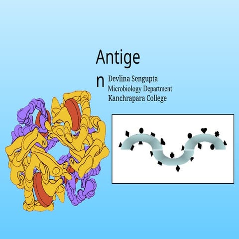 antigen Antibody characteristics & their function