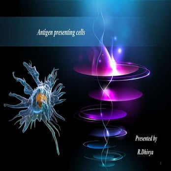 Antigen presenting cells