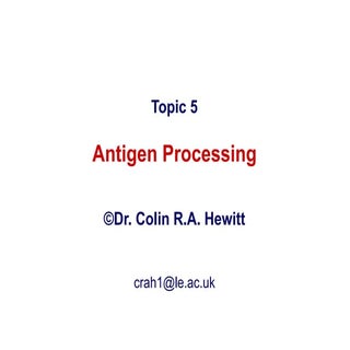 Antigen Processing