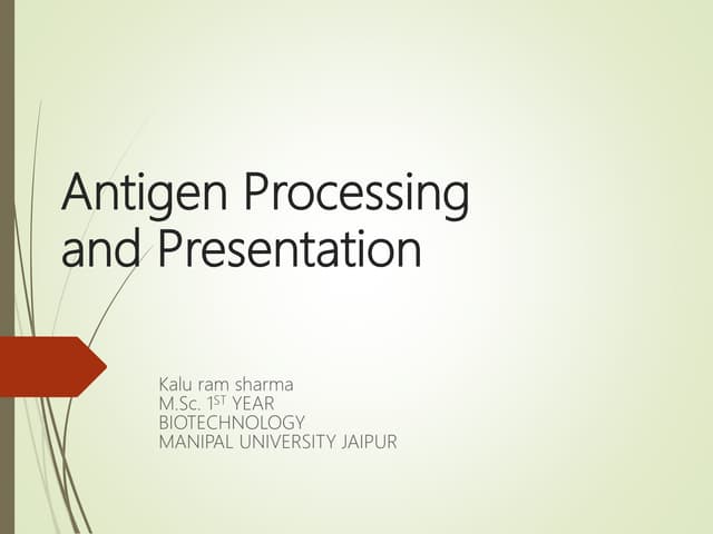 Antigen processing and presentation