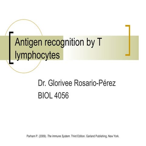 Antigen recognition by t lymphocytes