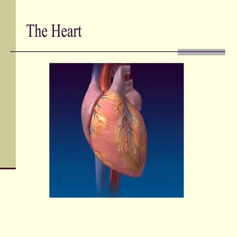 Antihypertensive drugs