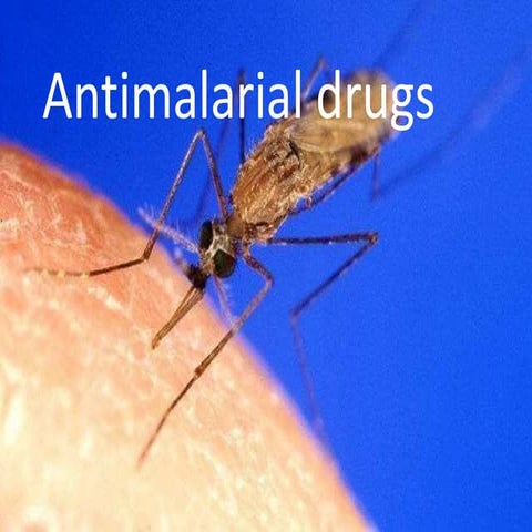 Antimalarialdrugs 121209052634-phpapp02