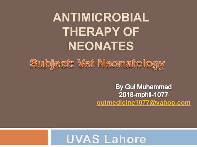 Antimicrobial therapy of neonates 