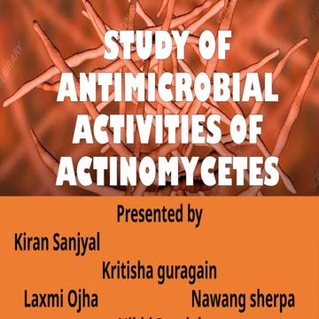 ANTIMICROBIAL ACTIVITY OF ACTINOMYCETES.pptx