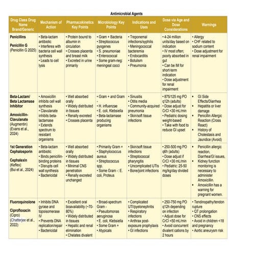 Antimicrobial_Agents_Table.docx for advanced pharmacology | DOCX