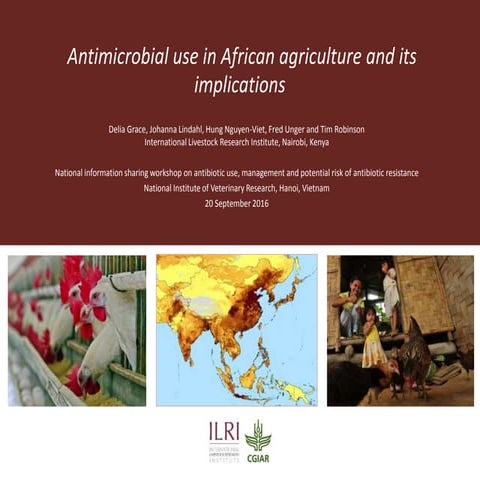 Antimicrobial use in African agriculture and its implications