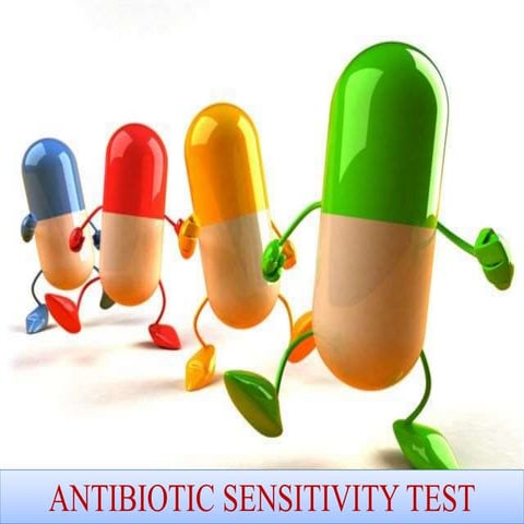 Antimicrobial sensitivity test