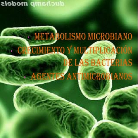 Antimicrobianos expo