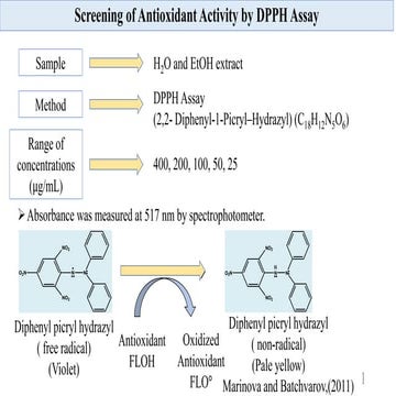 Antioxidants in science metholodology.pptx
