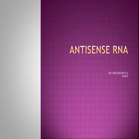 Antisense rna
