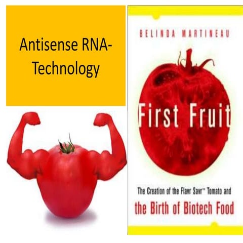 Antisense rna technology