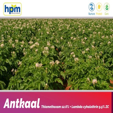 Antkaal Presentation