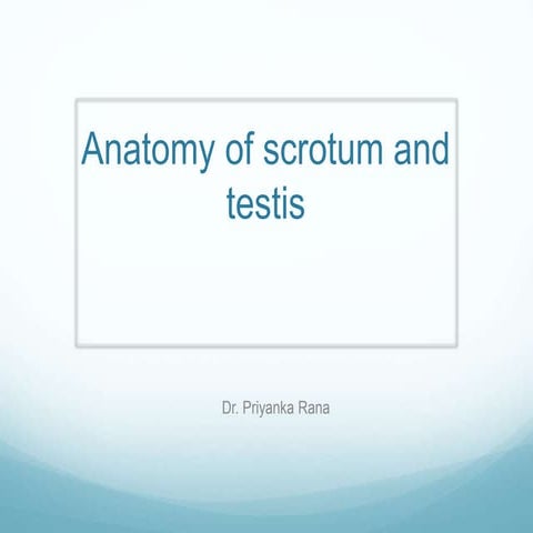 Antomy of scrotum and testis
