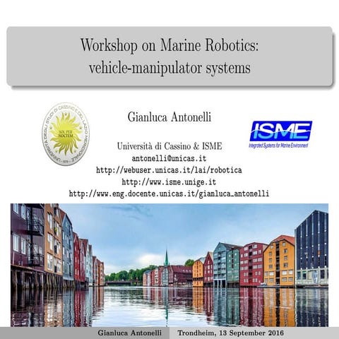 Workshop on Marine Robotics: vehicle-manipulator systems