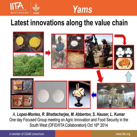 Yam: Latest innovations along the value chain