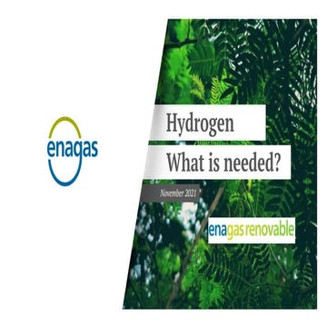 Hydroge. What is needed. Anton Martinez _ Enagas