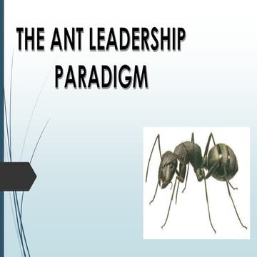 Ant paradigm presentation