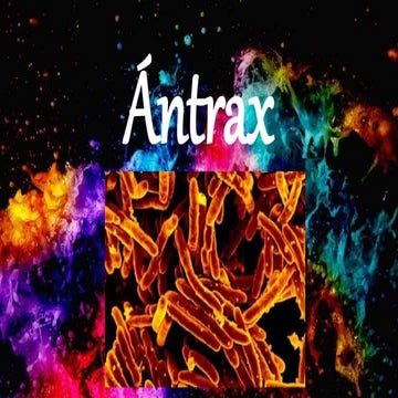Antrax | PPTX