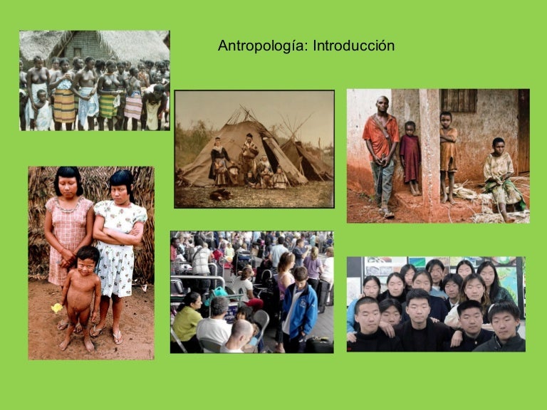 Antropología de la salud o antropología médica