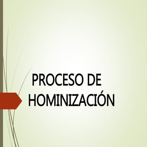 Antropología - Proceso de Hominización