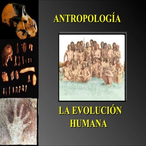 Antropologia y La Evolucion Humana