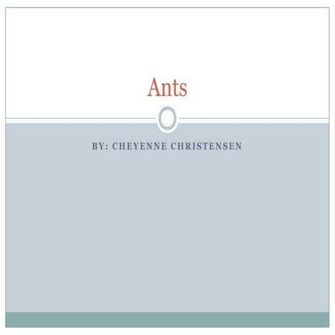 Ants