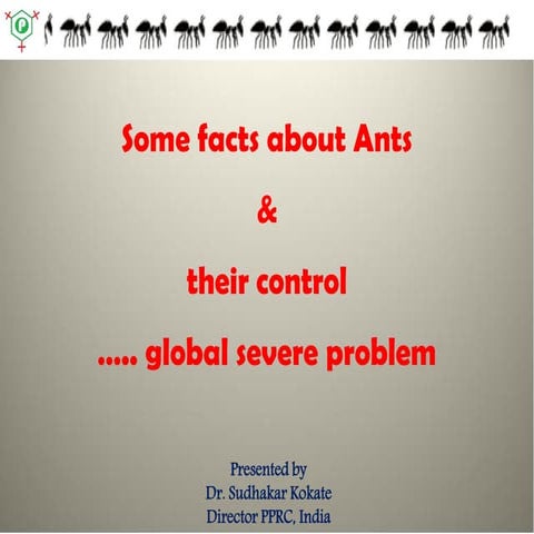 Ants | PDF
