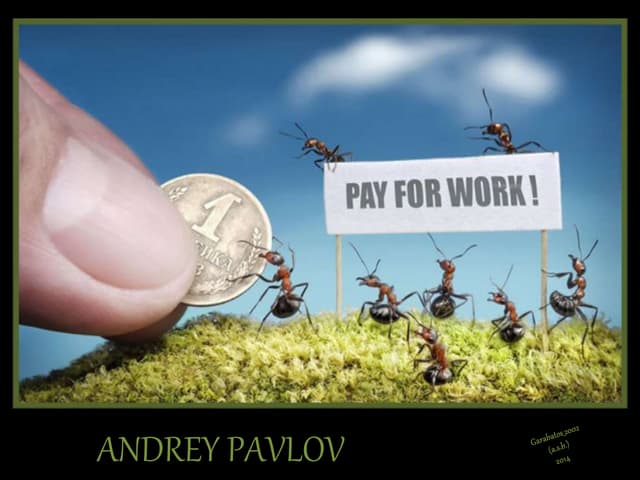 Ants. Illustrations by Andrey Pavlov