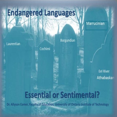 Language Documentation Accessibility in Indigenous Languages: A Study ...