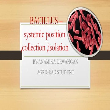 Bacillus -collection and isolation