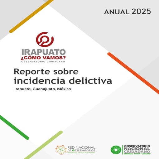 REPORTE ANUAL SOBRE INCIDENCIA DELICTIVA DE IRAPUATO-2024.pdf
