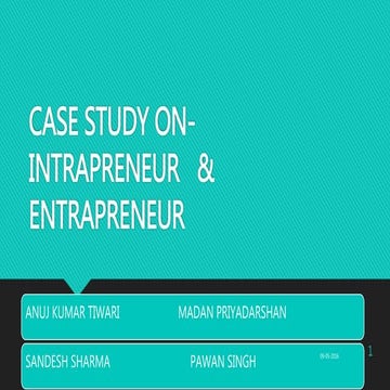 entrepreneur vs intrapreneur
