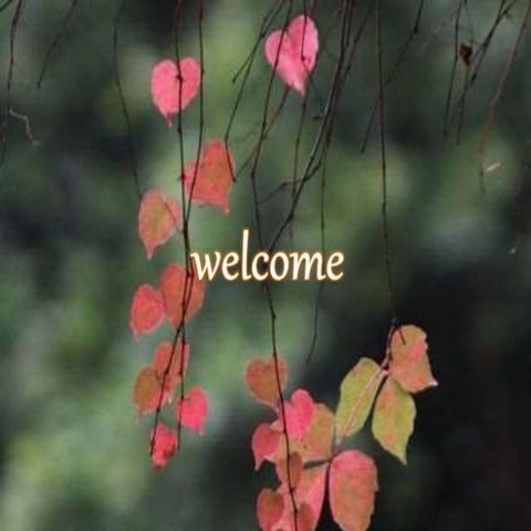 anukta dravya with respect to namarupa