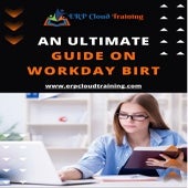 An Ultimate Guide on Workday BIRT