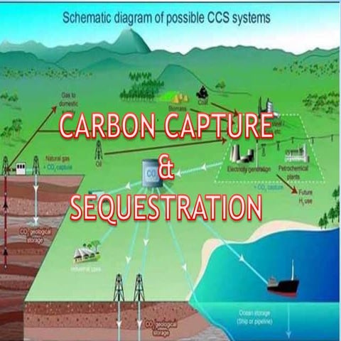 Carbon Capture and Storage | PPTX