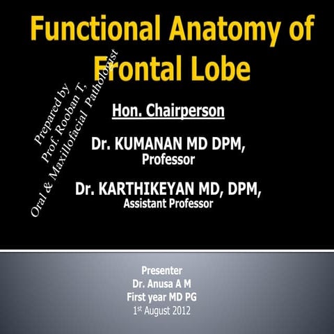 Anatomy of Frontal lobe