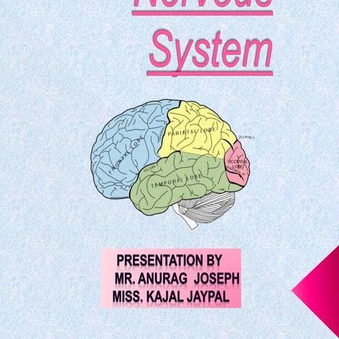 Nervous system ppt