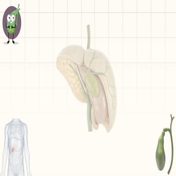Radiological anatomy of biliary system | PPTX