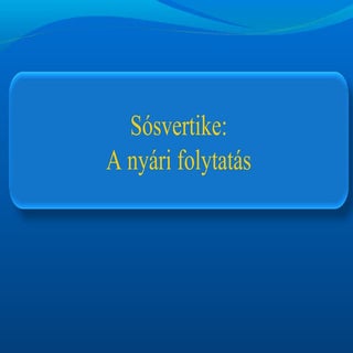 A nyári program   bagi berci