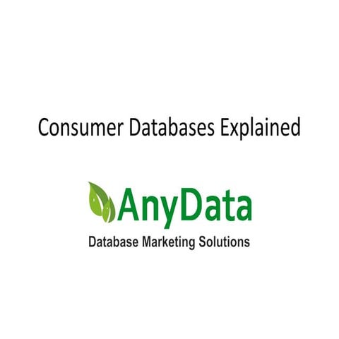 Comprehensive Guide to Consumer Databases for Targeted Marketing ...