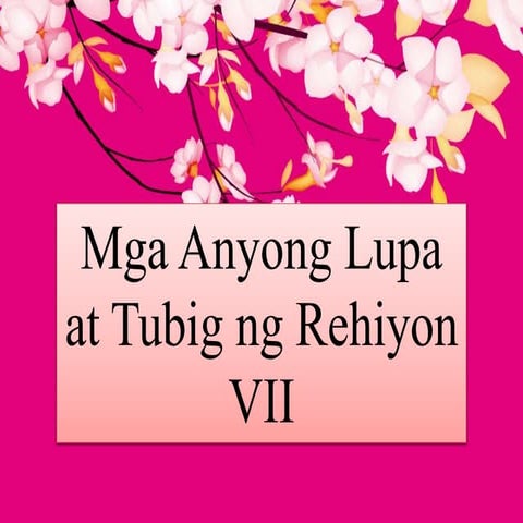Anyong lupa at tubig rehiyon vii
